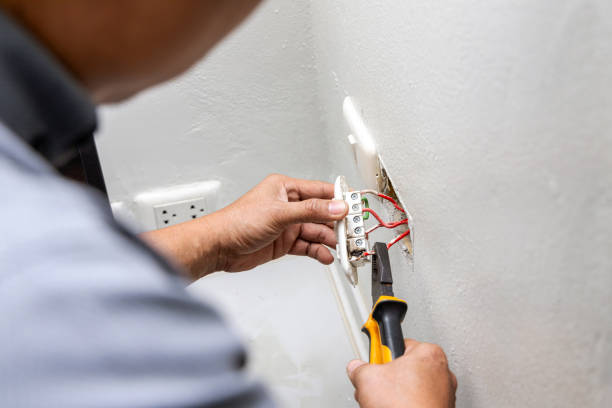 Best Electrical Troubleshooting Services  in Skidaway Island, GA